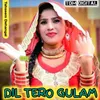 About DIL TERO GULAM Song